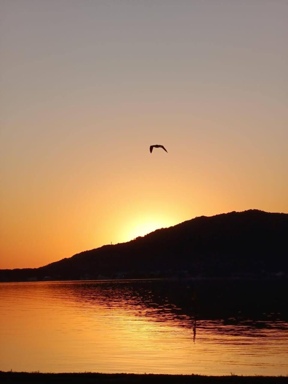 Morada Vo Rita Lägenhet Florianópolis Exteriör bild